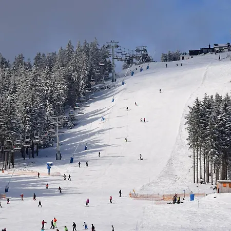 بيت للعطل Tinyhouse Mit Terrasse Und Garten Heringhausen