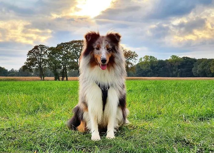 Tinyhouse Mit Terrasse Und Garten Dom wakacyjny *