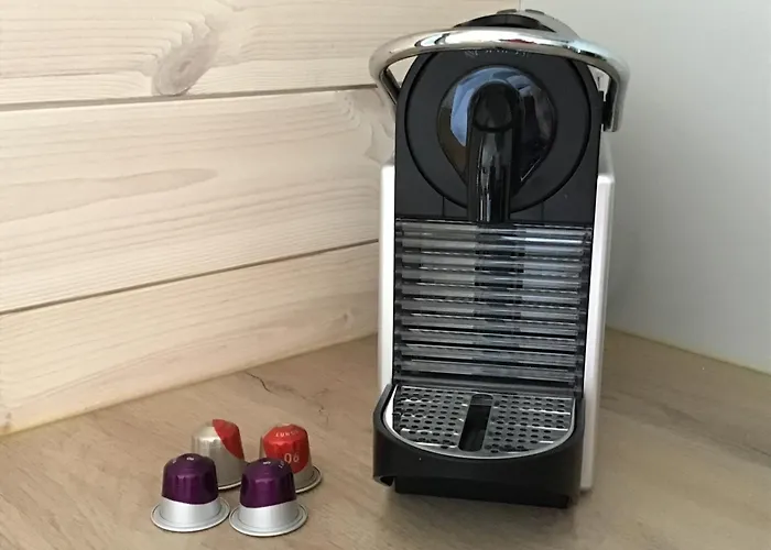 Tinyhouse Mit Terrasse Und Garten