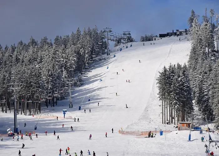 Dom wakacyjny Tinyhouse Mit Terrasse Und Garten Heringhausen